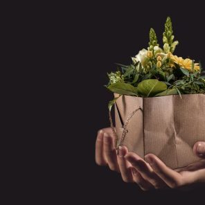 flowers-1338641__480