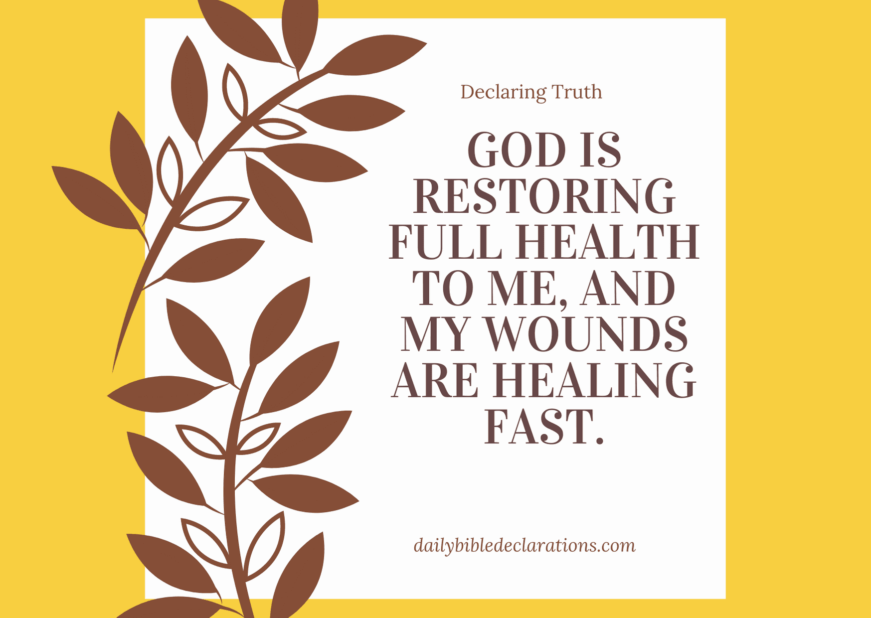 Downloadable flashcards