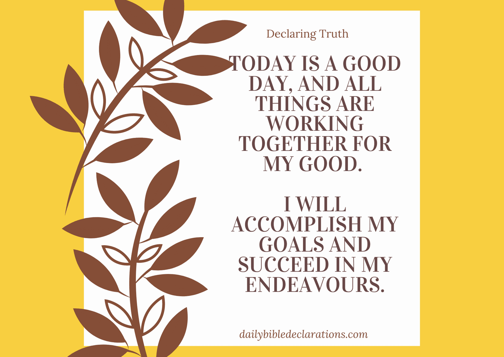 Downloadable flashcards