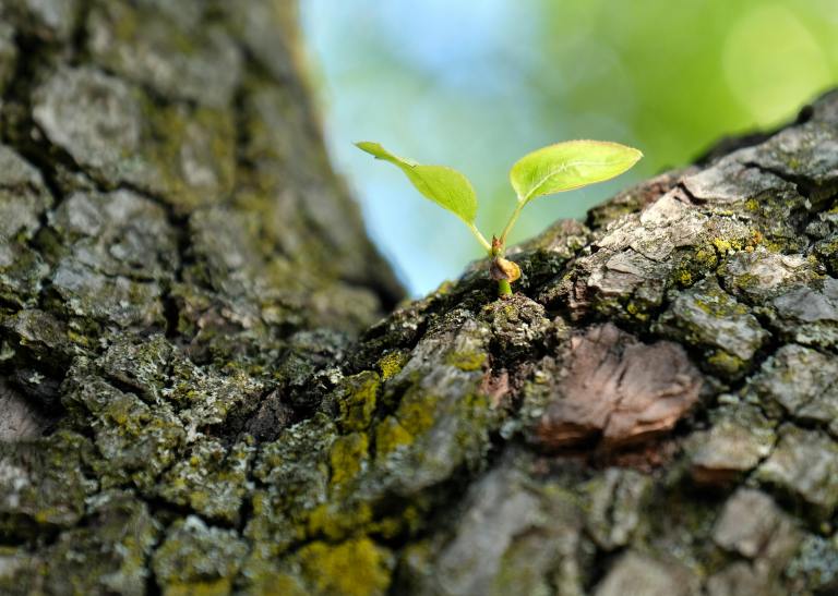 Christian spiritual authority declarations rooted in God’s Word